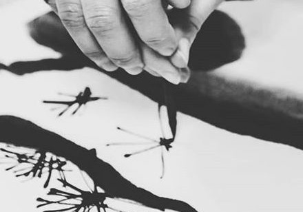 チューリップの写真